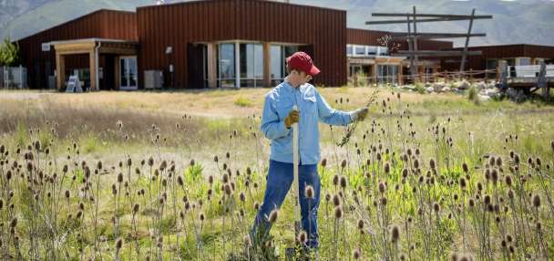 Rep. Celeste Maloy secures initial $10M in Utah's bid for $1 billion in Great Salt Lake funding