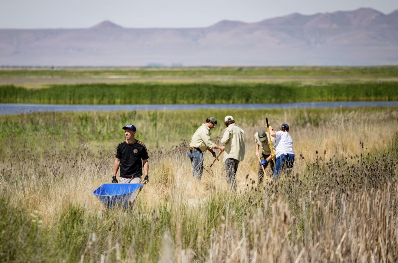 Nicholas Huey, a volunteer with the American Conservation Coalition (ACC), left, helps make trail improvements during a Great Salt Lake Service Project hosted by the ACC, in collaboration with Gov. Spencer Cox and the Utah Division of Wildlife Resources at the George S. and Delores Dore Eccles Wildlife Education Center at the Farmington Bay Waterfowl Management Area in Farmington on Friday.