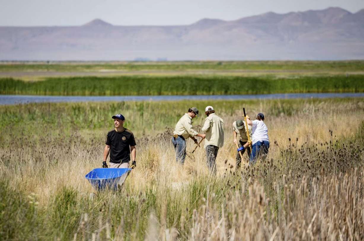 Nicholas Huey, a volunteer with the American Conservation Coalition (ACC), left, helps make trail improvements during a Great Salt Lake Service Project hosted by the ACC, in collaboration with Gov. Spencer Cox and the Utah Division of Wildlife Resources at the George S. and Delores Dore Eccles Wildlife Education Center at the Farmington Bay Waterfowl Management Area in Farmington on Friday.