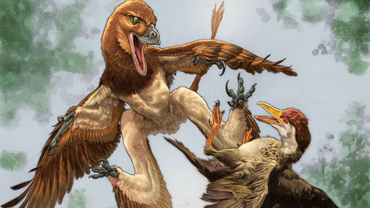 Fossil reveals bizarre gliding creature that hunted birds 120 million years ago - KSL News image