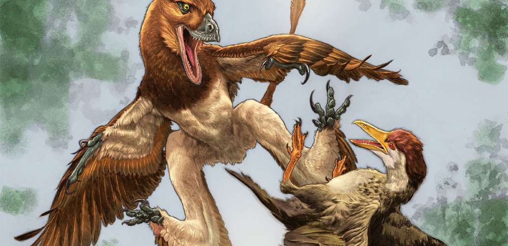 Fossil reveals bizarre gliding creature that hunted birds 120 million years ago