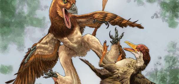 Fossil reveals bizarre gliding creature that hunted birds 120 million years ago