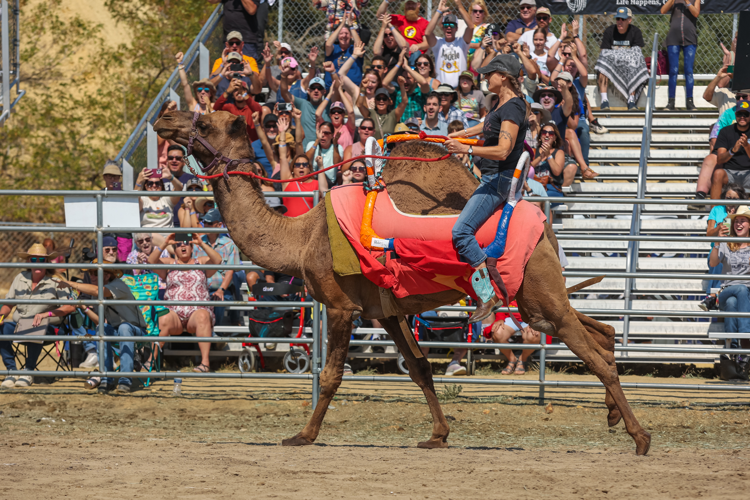 Virginia City delivers a year-round lineup of wild, historic and unforgettable events