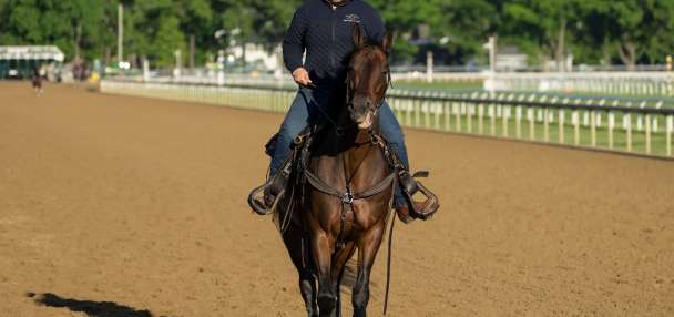 Cherie DeVaux returns to familiar Saratoga for the Belmont after her historic Kentucky Derby