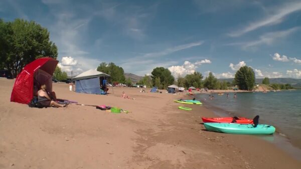 Doctors warn of 'trauma season' as ER visits climb in summer