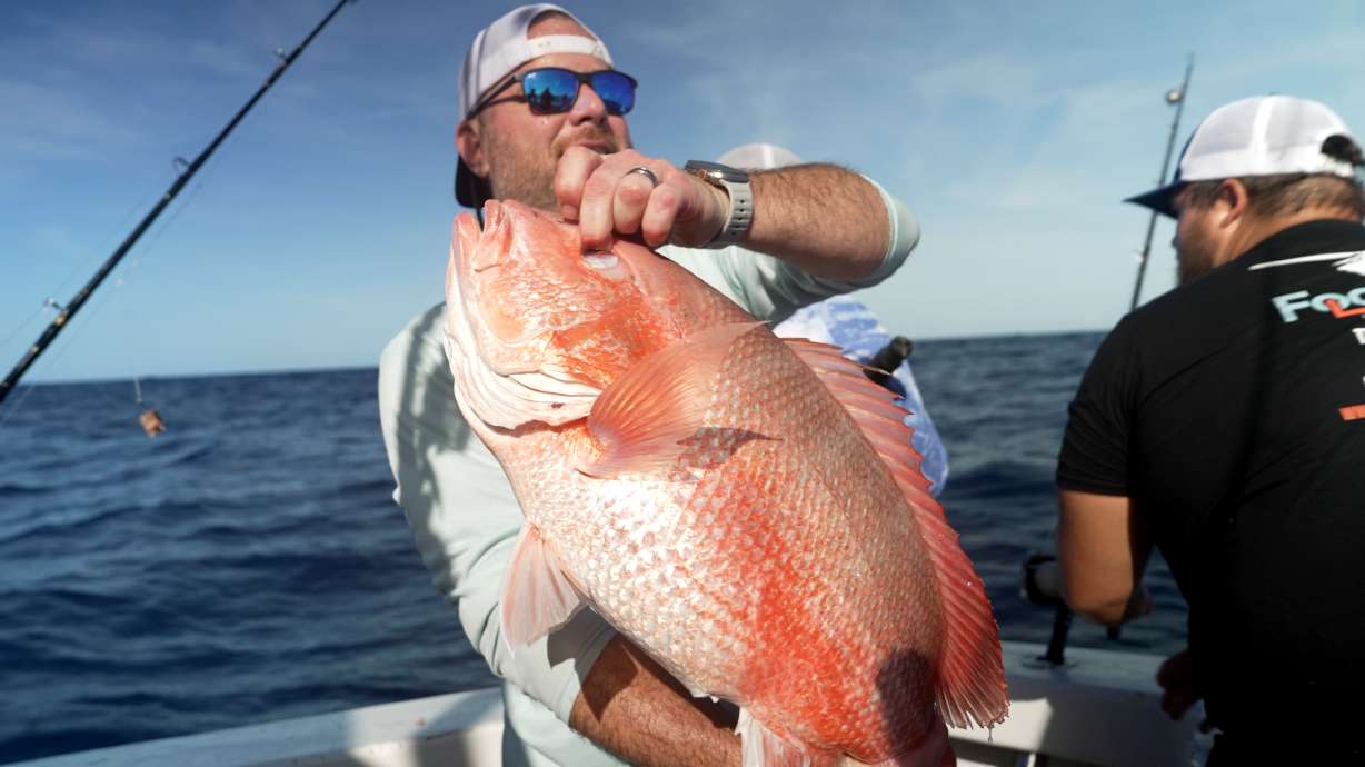 Chris Kemp holds up a red snapper he caught on the charter boat Jodie Lynn II, before releasing it back into the water miles off the coast of St. Augustine, Fla., on May 22, 2026.
