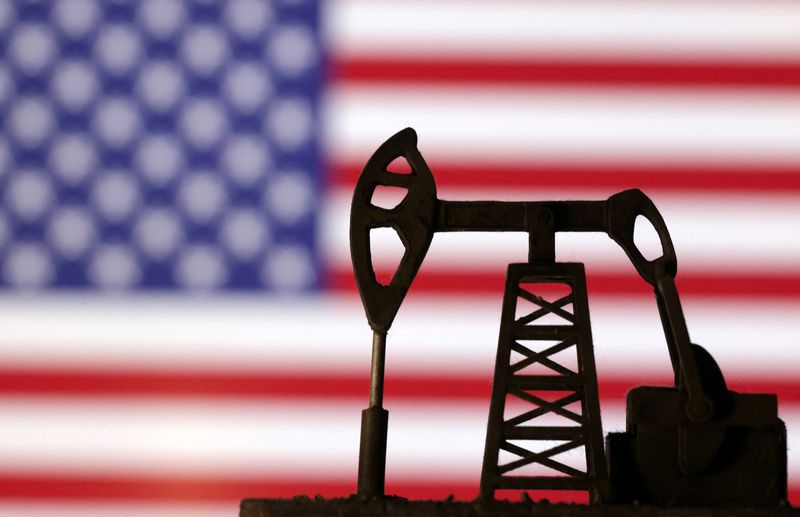 Trump administration to auction oil drilling rights in Alaska wildlife refuge