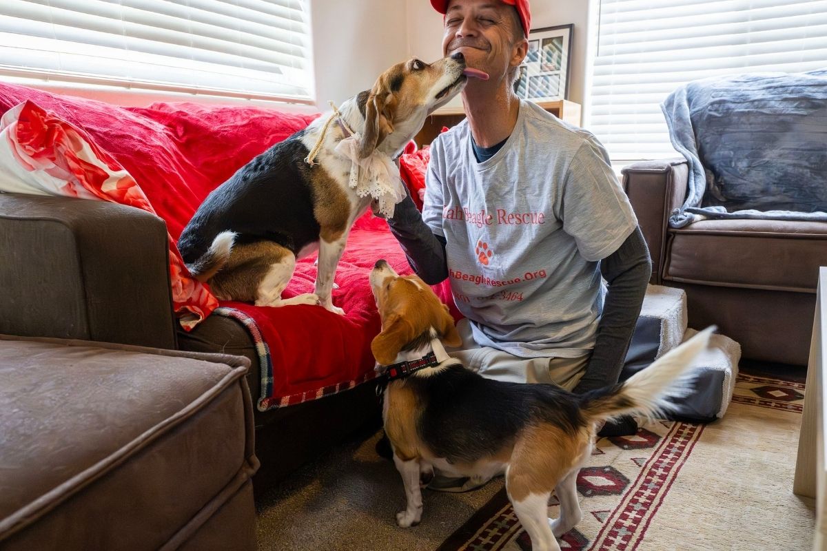 The politics of beagles