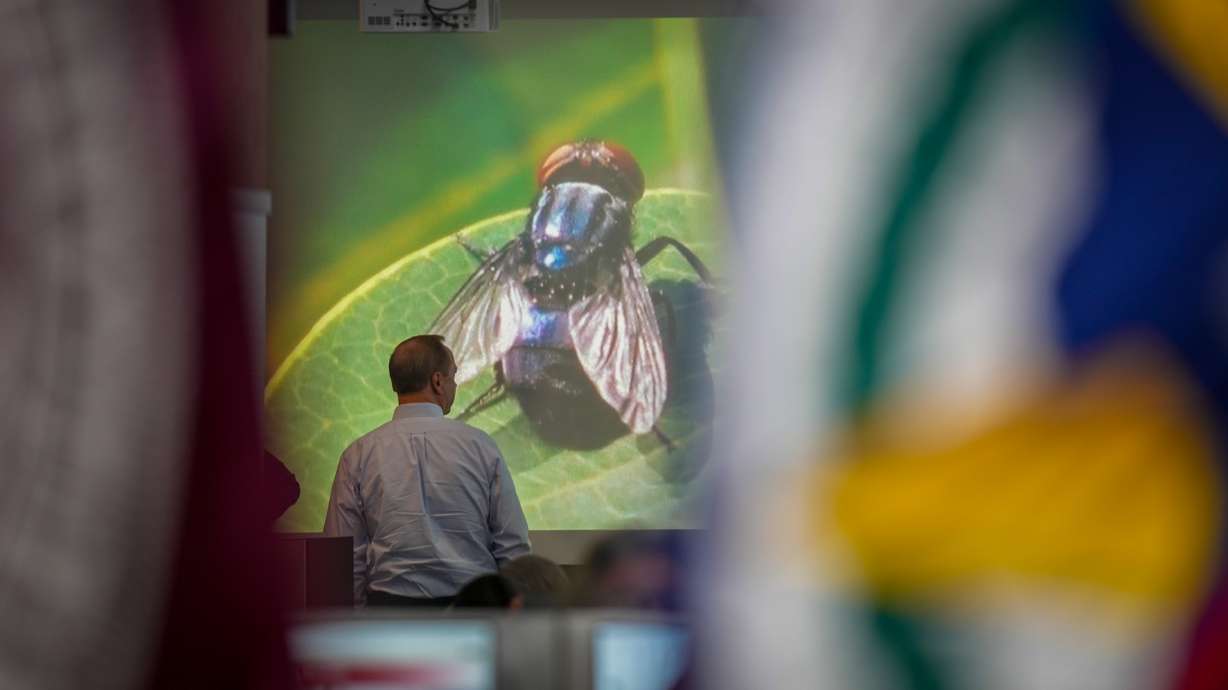 The Texas State Operations Center during Texas' response to the new world screwworm in Austin, Texas, on Friday. Utah agriculture officials said the species poses no public health or food safety concern in Utah, but they're monitoring it.