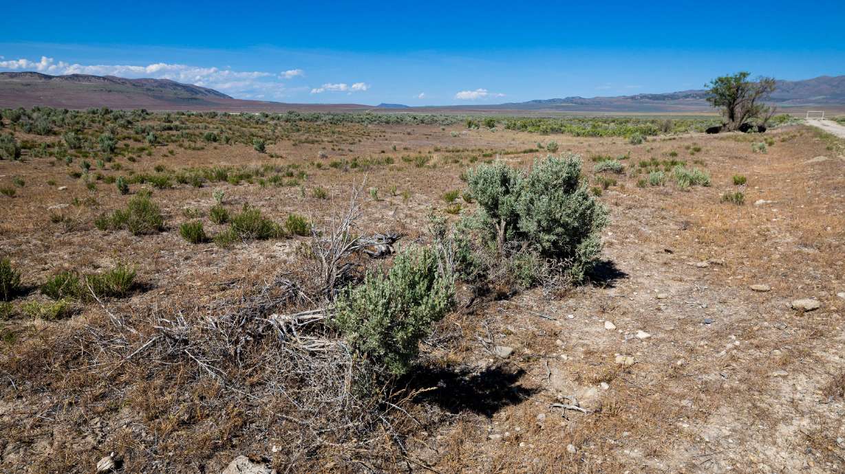 Shrubs grow on land proposed to be used for the Stratos Project data center in the Hansel Valley area of Box Elder County on May 12. A Democratic firm is behind a campaign to convince rural Republicans to oust the county commissioners over the center.