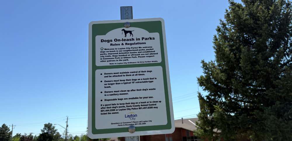 Layton officials may explore alternative sites as dog park debacle continues