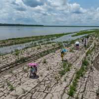 Colombia's presidential runoff could impact the future of the Amazon rainforest and fossil fuels