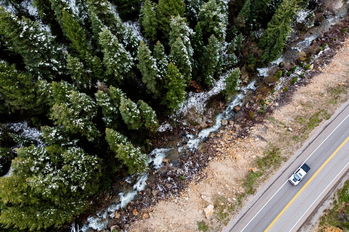 It was the winter without snow. The effects are coming