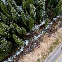 It was the winter without snow. The effects are coming