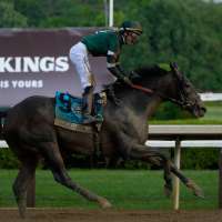 Golden Tempo wins 158th running of Belmont Stakes after winning Kentucky Derby