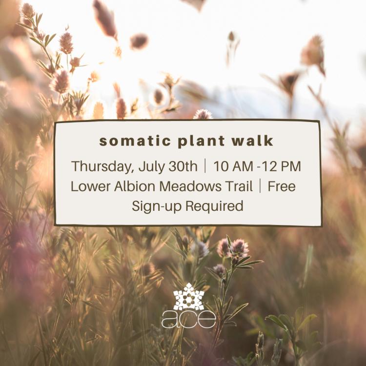 Somatic Plant Walk