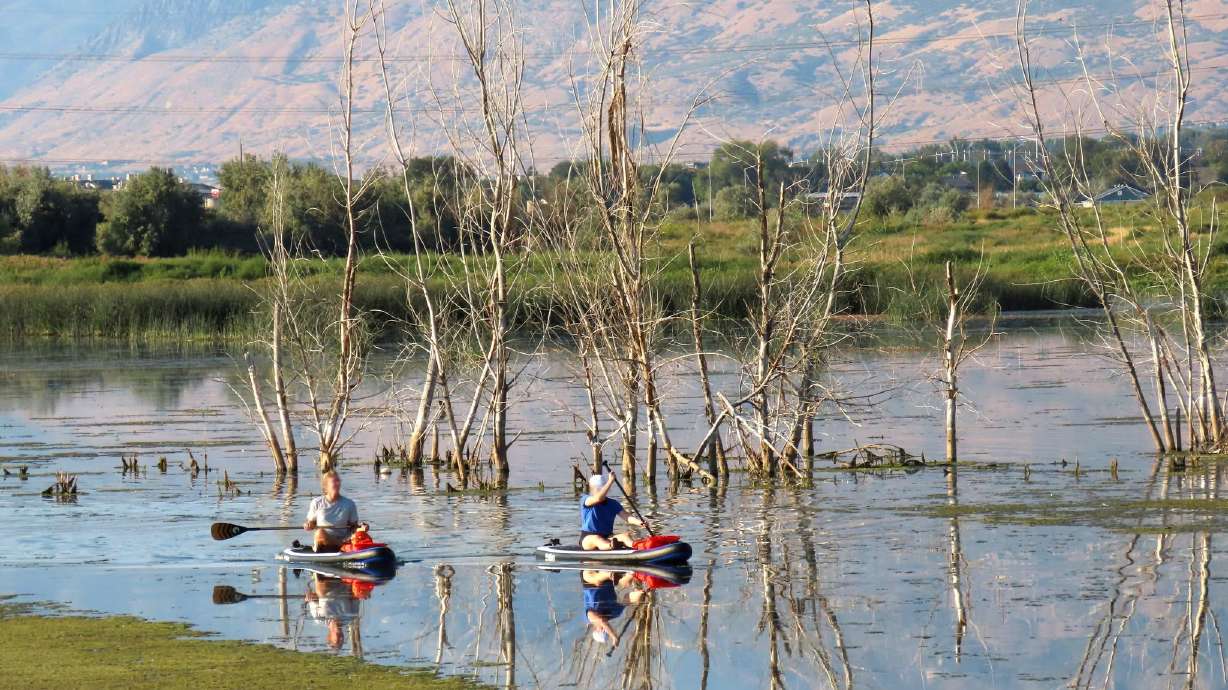 Adventurers explore the Provo River Delta by paddleboard on a summer day.