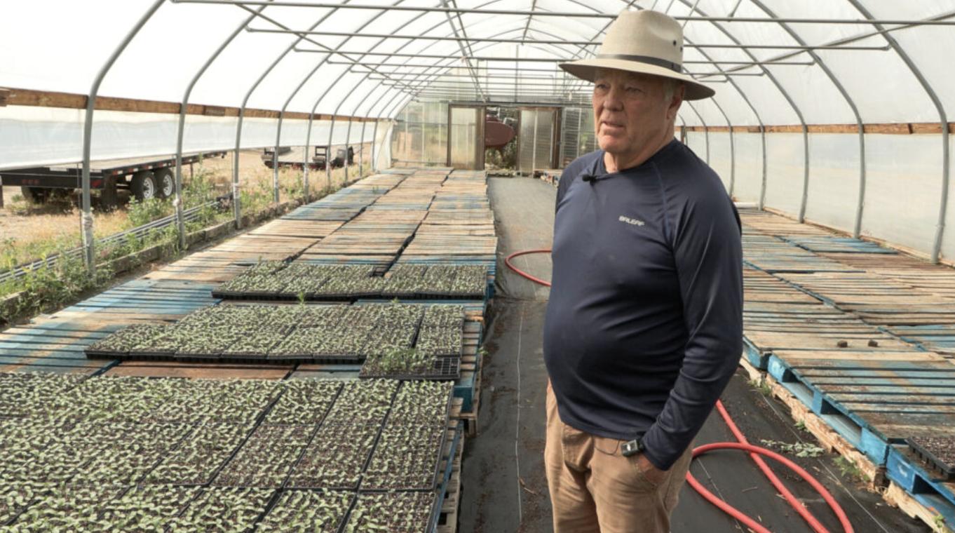 Fruit Highway opens without Utah peaches