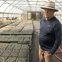 Fruit Highway opens without Utah peaches