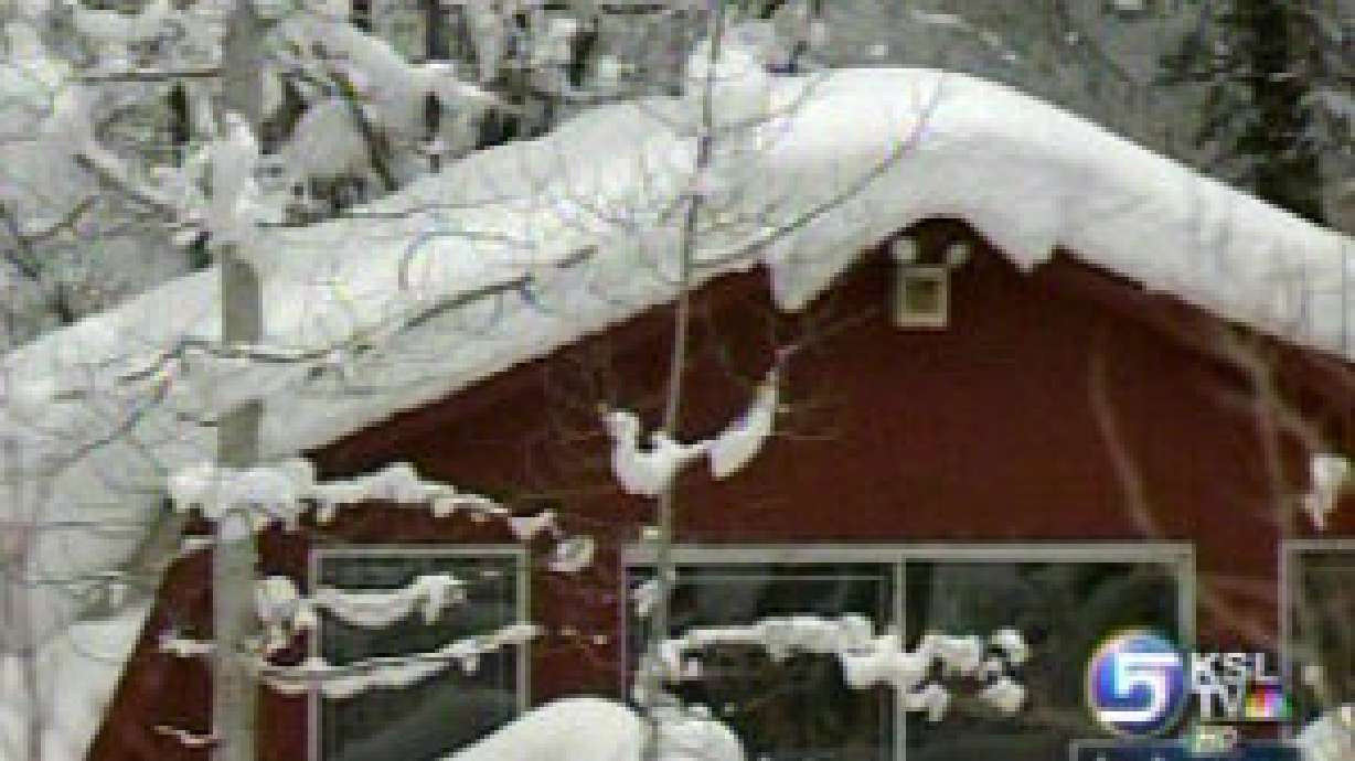 Snowpack looks promising, so far