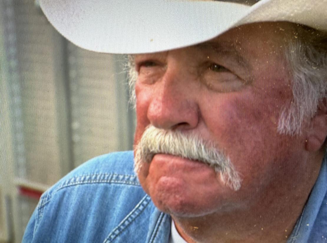 Rancher offers reward as Utah County deputies work to solve cattle theft