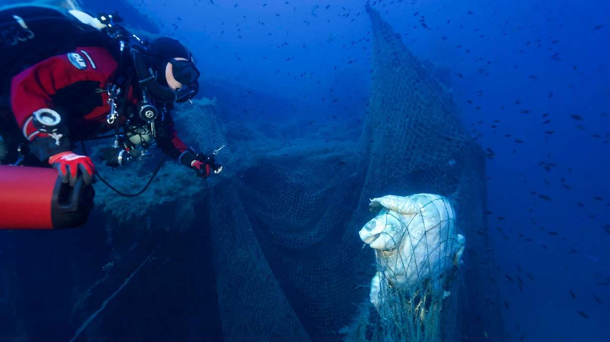 Turtles are among the many animals to become caught up in discarded fishing nets, proving fatal for marine species. More than 132 feet below sea level, a diver had an encounter that would be the stuff of many people's nightmares.