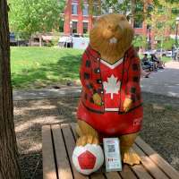 Join the beaver hunt: Toronto neighborhood offers unique World Cup-themed scavenger hunt