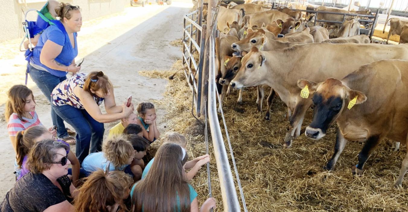 Rooted in community: How one dairy farm family is bringing people closer to their food