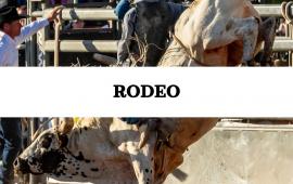2026 Hyrum Star Spangled Rodeo