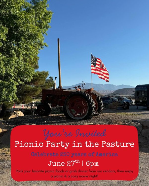 America250 Picnic in the Pasture & Drive-In Movie Night