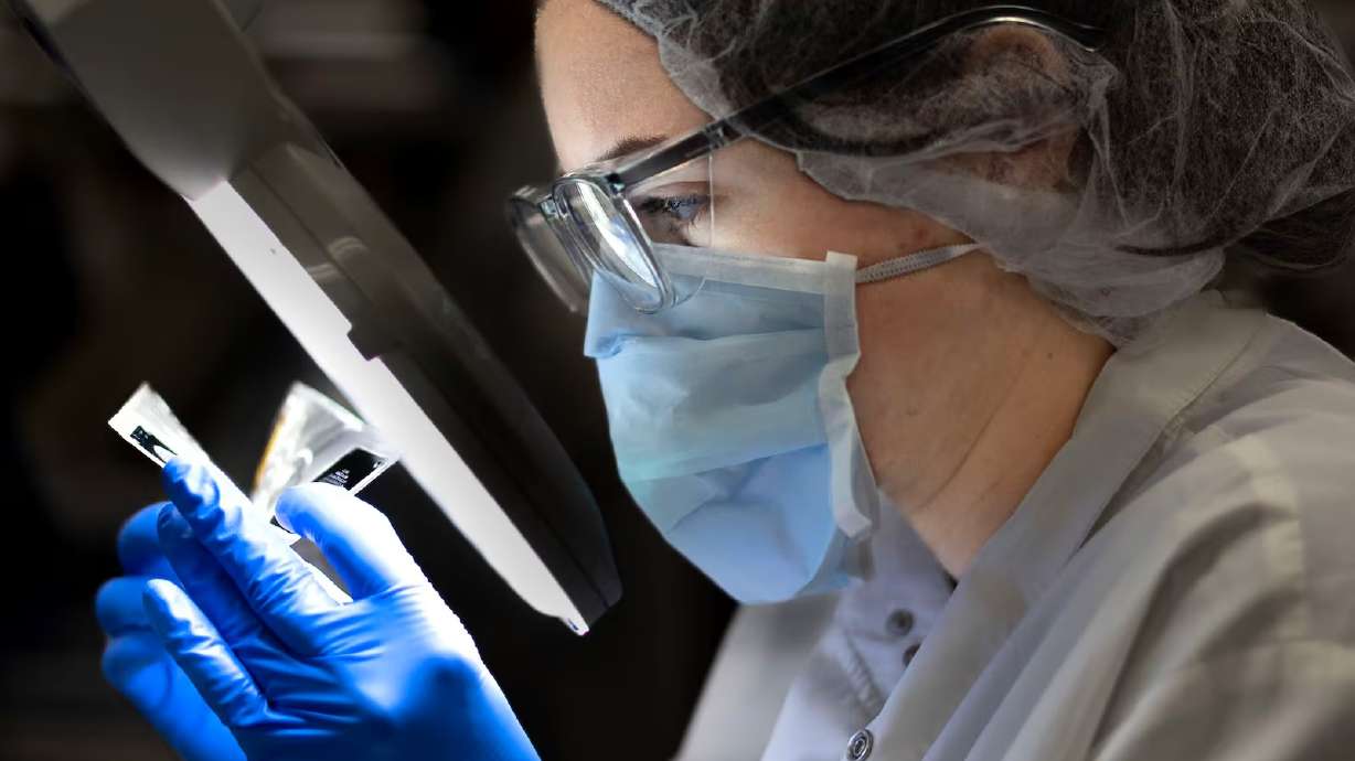 Melissa Meldrum inspects BioFire Global Fever Special Pathogens panel patches at BioFire Defense in Murray on Thursday.