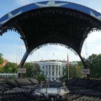 Offended? Excited? Curious? What to know about the White House UFC fights