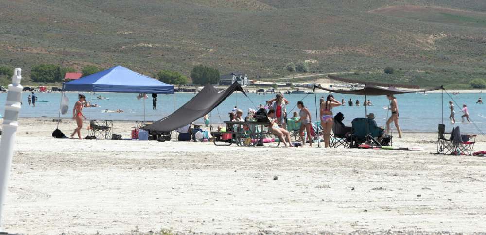 Helicopters to spray for cheatgrass, seed land near Bear Lake