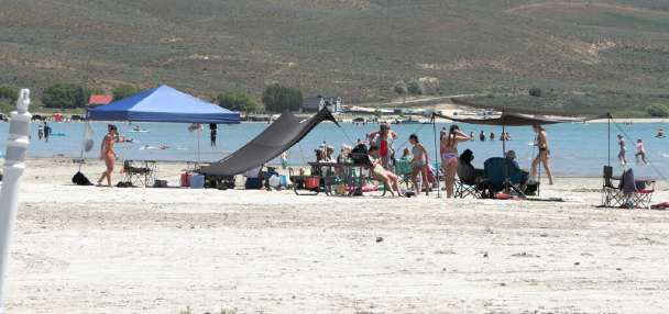 Helicopters to spray for cheatgrass, seed land near Bear Lake