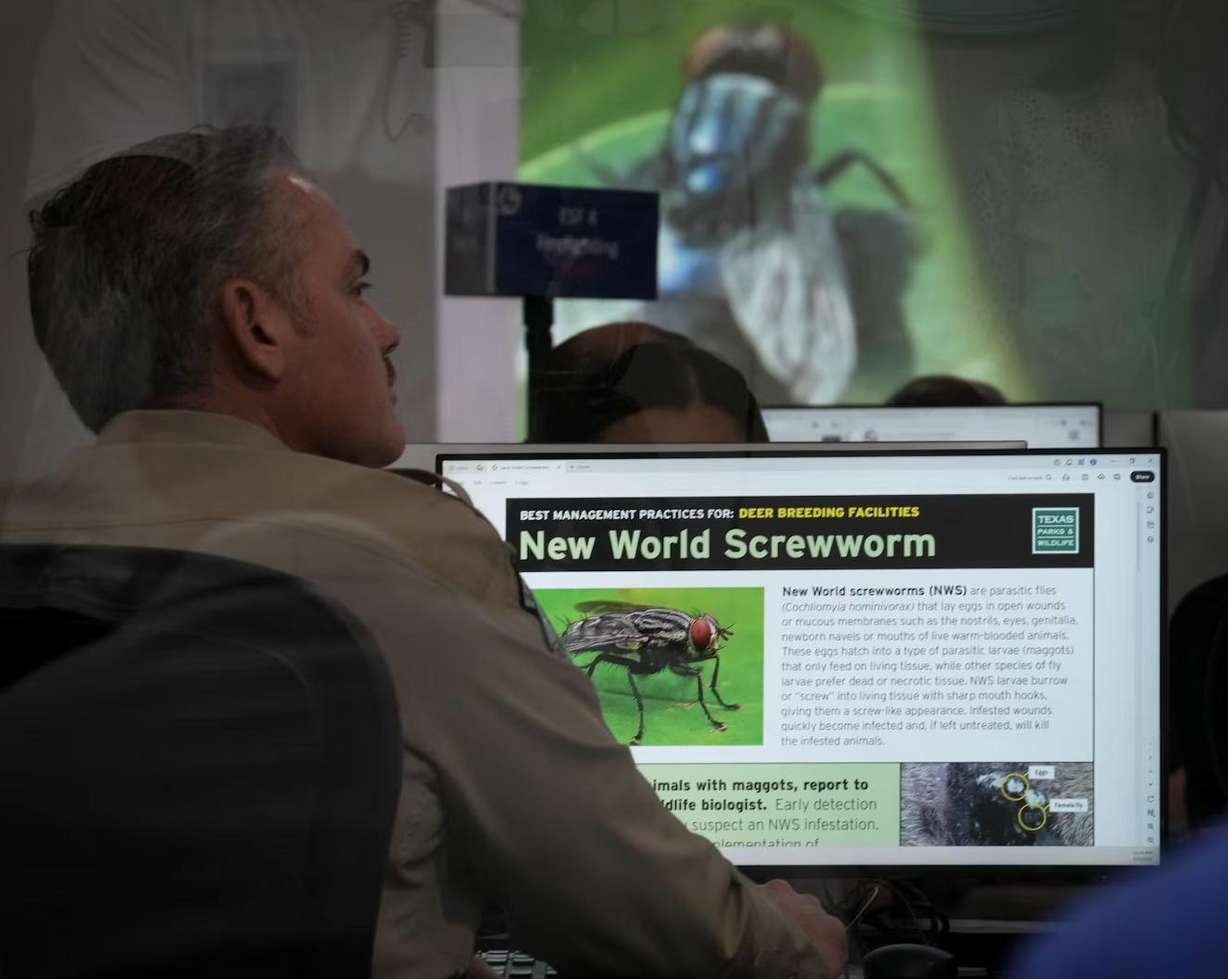 An official works at the State Operations Center during Texas' response to the New World screwworm in Austin, Texas, June 5.