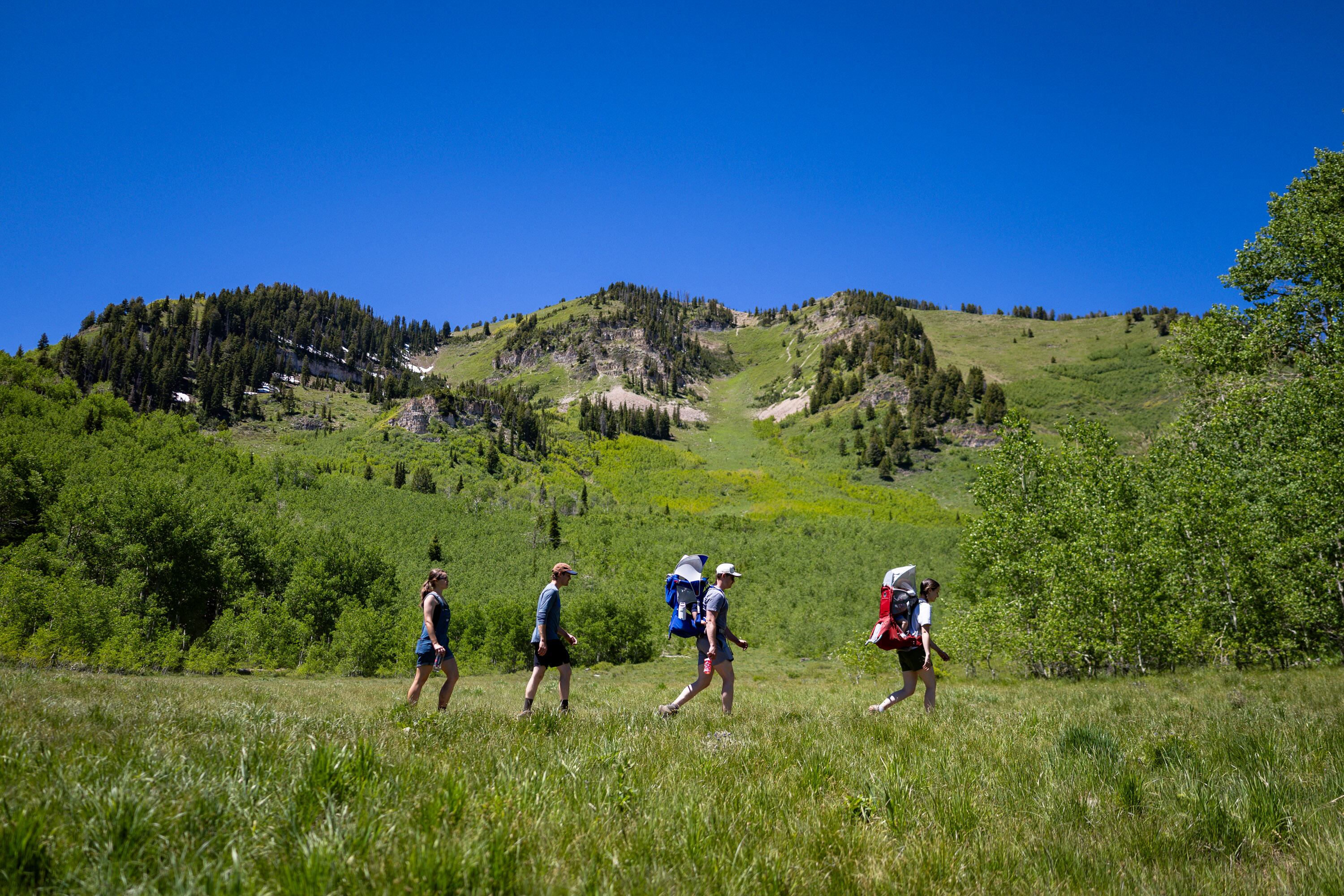 Family members Shannon Millis, Margot Millis, 1, Austin Millis, Max Millis, 1, from Bountiful, Jeffrey Millis, and Riley Thomas, from Holladay, from front to back, hike back after reaching Primrose Overlook in the Mount Timpanogos Wilderness in Provo on June 12. Primrose Overlook is one of the hikes on the 2026 Timpanogos Hiking Challenge.