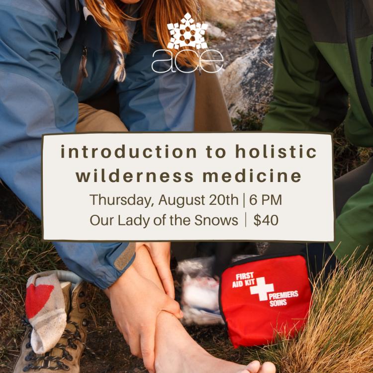 Introduction to Holistic Wilderness Medicine
