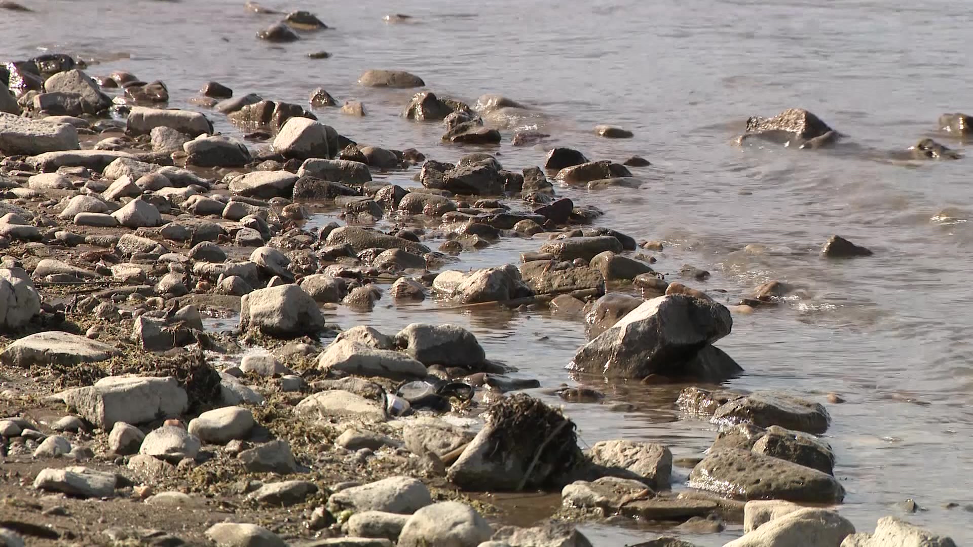 Woman hit while paddleboarding in Bear Lake