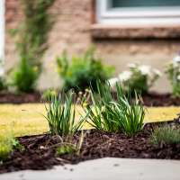This Utah county is paying residents to make their landscaping water-efficient