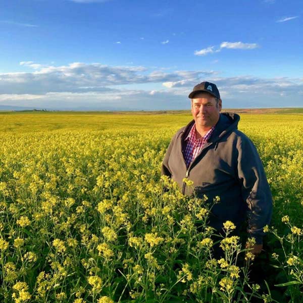 Justin Place in his mustard field in Hamer, Idaho.