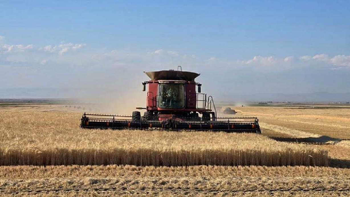 As water crisis deepens, Idaho producers look to farm bill for relief