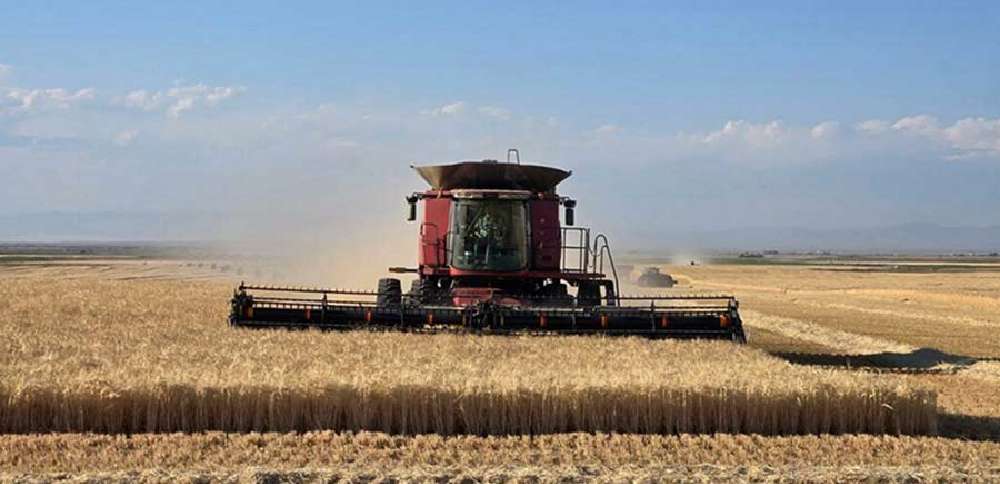 As water crisis deepens, Idaho producers look to farm bill for relief