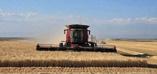 As water crisis deepens, Idaho producers look to farm bill for relief