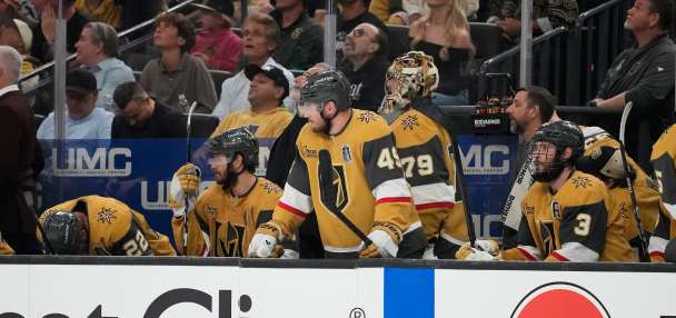 Golden Knights promote Ryan Craig to head coach from AHL