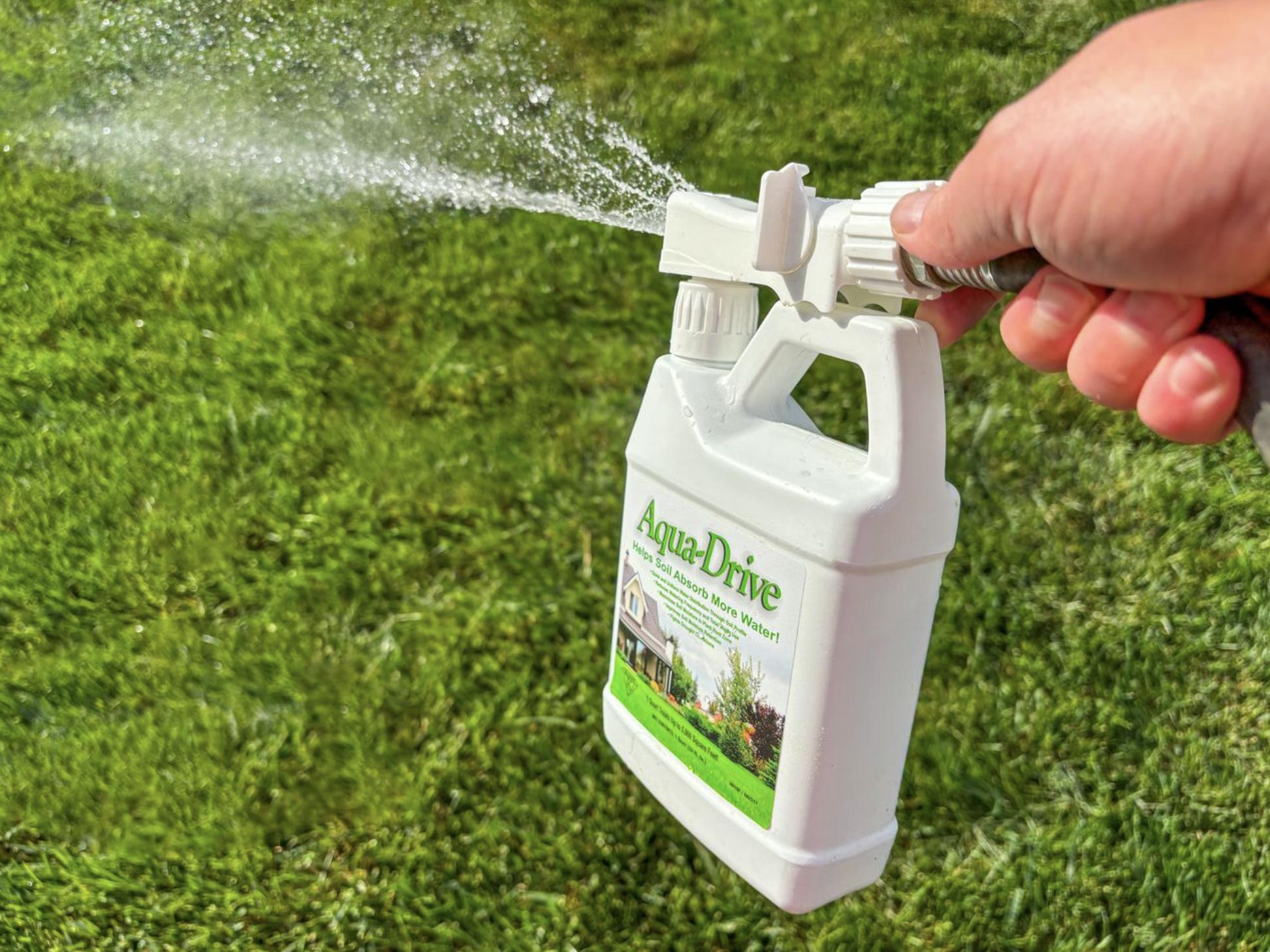 5 secrets to have a lawn your neighbors will envy
