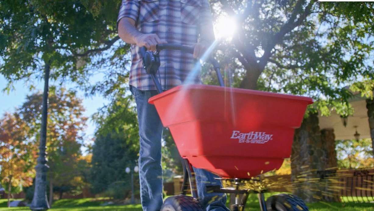 5 secrets to have a lawn your neighbors will envy
