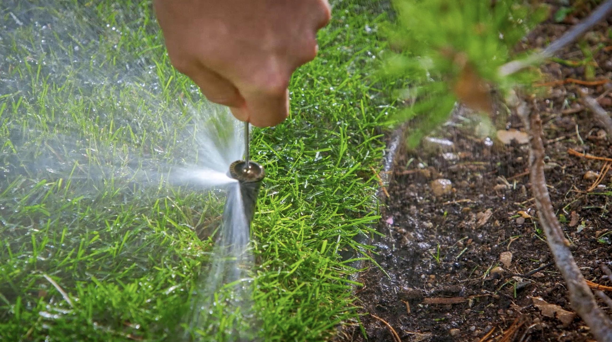 5 secrets to have a lawn your neighbors will envy