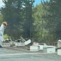 Bee-filled trailer crashes in Yellowstone National Park, spilling dozens of hives