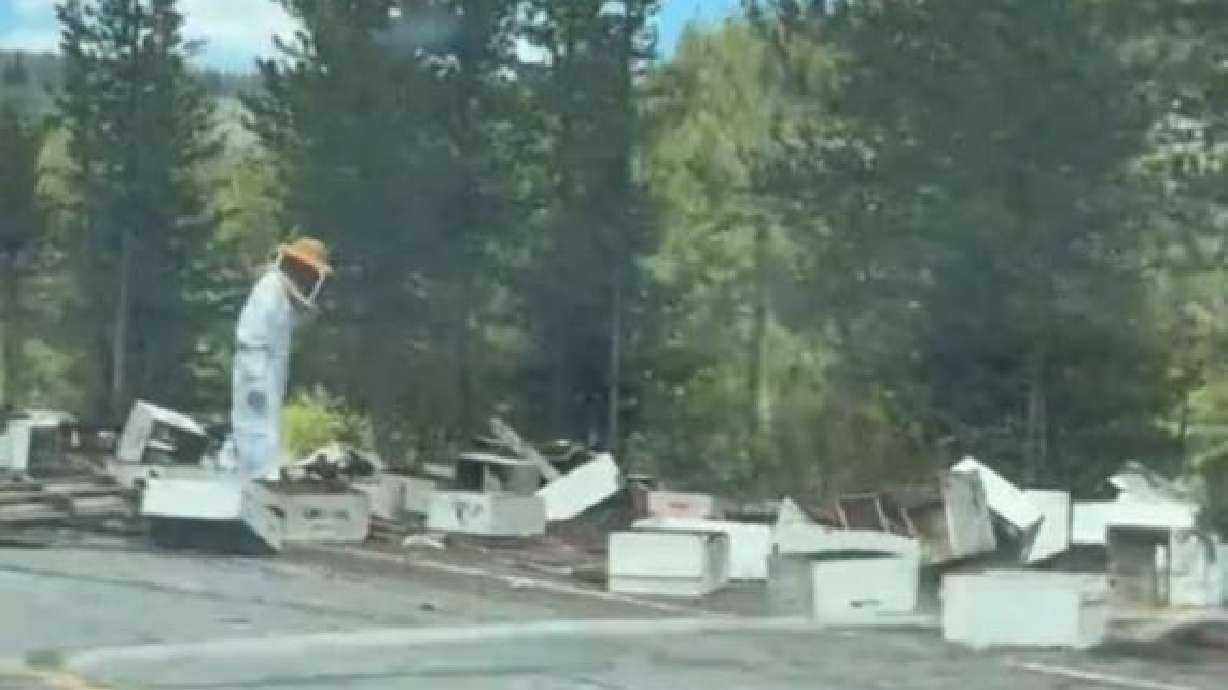A semitruck trailer tipped over on U.S. 191 in Yellowstone National Park Tuesday, spilling dozens of crates carrying bees on the road and side of the highway.