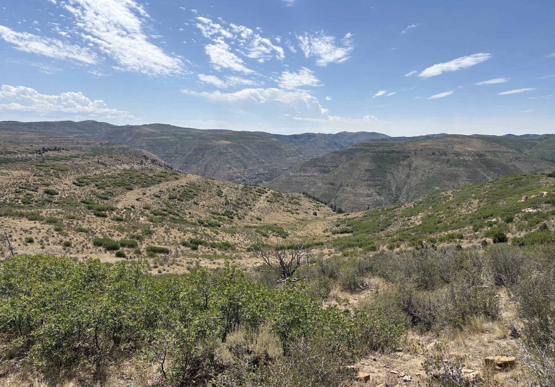 SITLA agrees to sell over 50,600 acres in the Book Cliffs in 'historic' nearly $30M deal